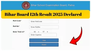 Bihar Board Result 2025 Blog